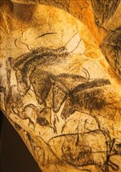 Horses, charcoal, Caverne Pont d'Arc: by vagabonds3, Views[132]