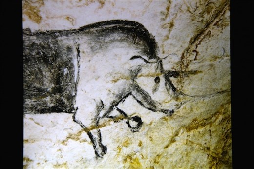 Wooly rhinoceros, charcoal, Caverne Pont d'Arc