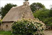 Thatch cottage, Brittany: by vagabonds3, Views[406]