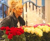 Flowers for sale, Cannes: by vagabonds3, Views[152]