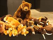 Exit through the gift shop, Caverne Pont d'Arc: by vagabonds3, Views[123]