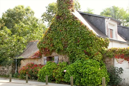 Ivy covered cottage, Brittany