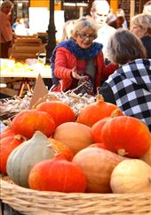 Market, Nice: by vagabonds3, Views[129]