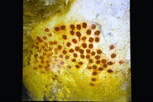 Ochre palm art, the original pointillists, Caverne Pont d'Arc