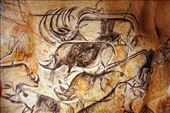 Rhinos in perspective, circa 34,000 BC, Caverne Pont d'Arc: by vagabonds3, Views[174]