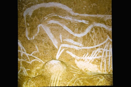 Horse etched onto cave walls, Caverne Pont d'Arc