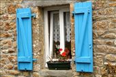 Blue shutters with geraniums, Brittany: by vagabonds3, Views[403]