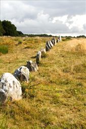 Megaliths of Carnac: by vagabonds3, Views[424]