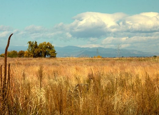 Rocky Mountain Arsenal Wildlife Refuge