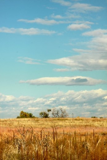 Blue skies of Colorado, Rocky Mountain Arsenal Wildlife Refuge