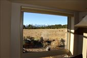 View from John and Marie's house, Westcliffe, Colorado: by vagabonds3, Views[438]