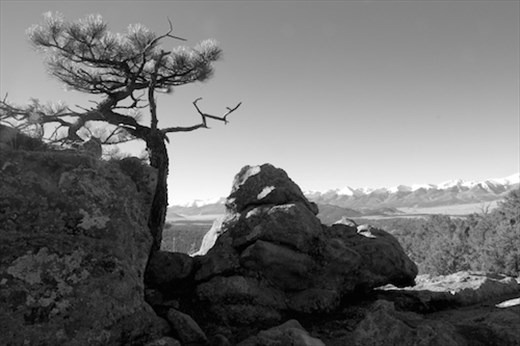 Pine and San Juans, Westcliffe, Colorado