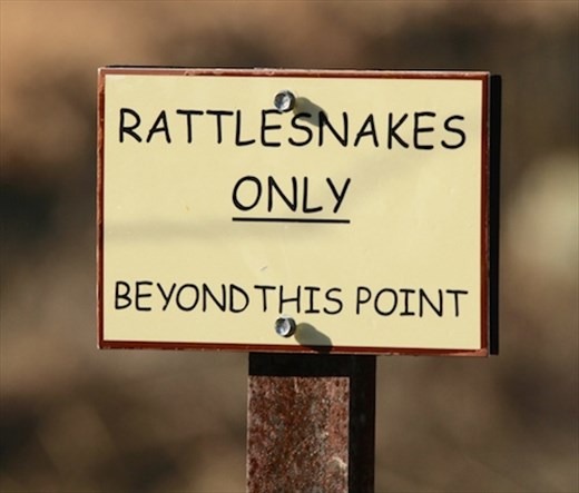 Bryce Thompson Arboretum