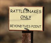 Bryce Thompson Arboretum: by vagabonds3, Views[449]