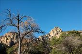 Cove Creek, Coronado National Forest : by vagabonds3, Views[376]