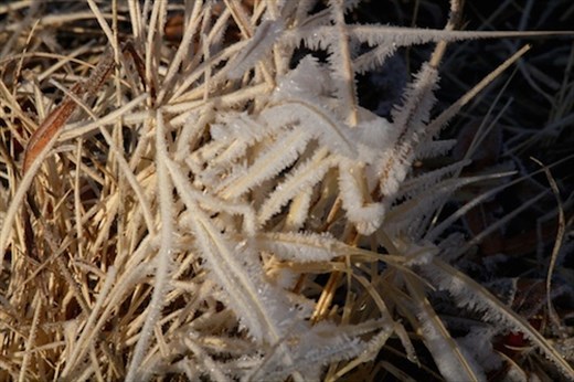 Ice crystals, White Water Draw