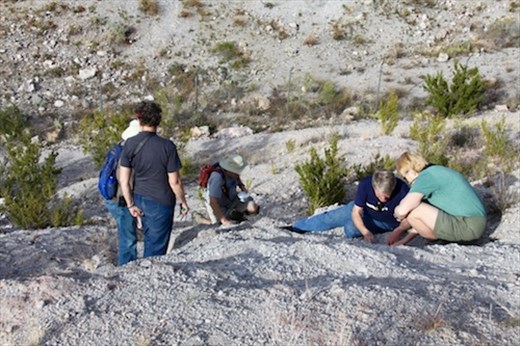 Prospecting for Apache Tears, Gold Canyon