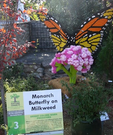 Lego monarch, Tucson Botanic Garden