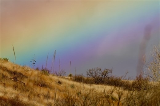 Winter rainbow, Sierra Vista