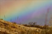 Winter rainbow, Sierra Vista: by vagabonds3, Views[281]