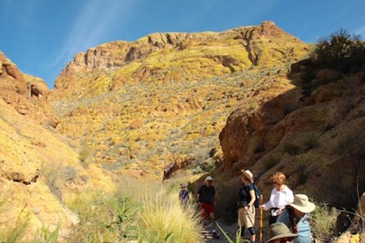 ... the rough take five, Box Canyon