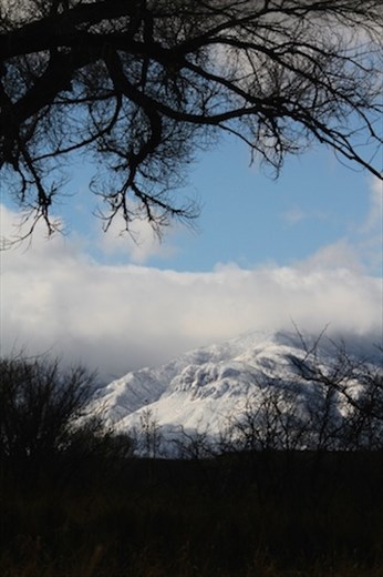 Sierra Vista snow