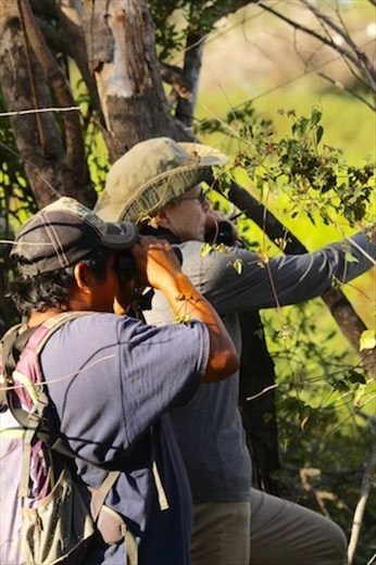 Connie and Gary, Karanambo