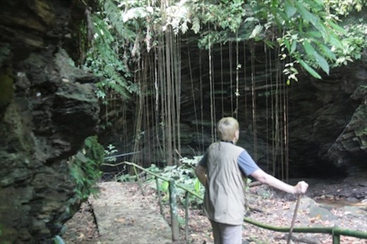 Oilbird grotto, Asa Wright, Trinidad