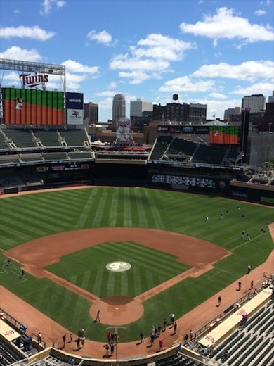 Minnesota Twins baseball