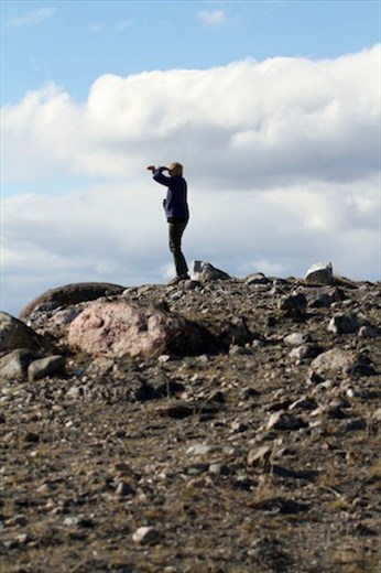 Scanning for muskoxen, Kanderlussuag, Greenland