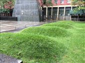 African Burial Ground, New York City: by vagabonds3, Views[488]