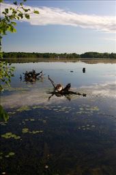 Campground lake: by vagabonds3, Views[392]