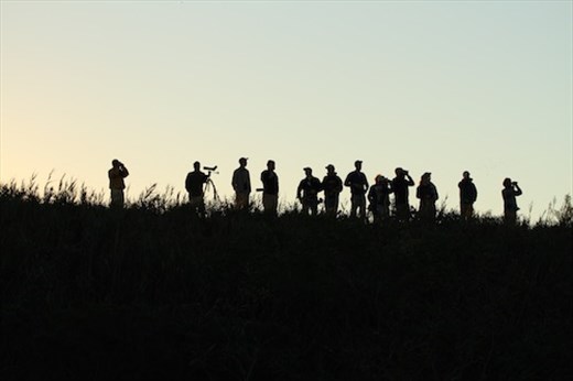 Early morning birders, Cape May, NJ