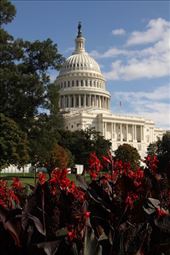 The Capitol Building: by vagabonds3, Views[373]