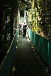 Crossing that bridge, La Selva: by vagabonds3, Views[454]