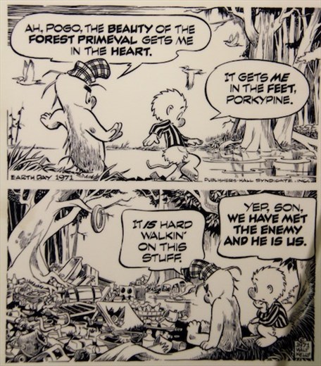 Cartoon at Congaree National Park