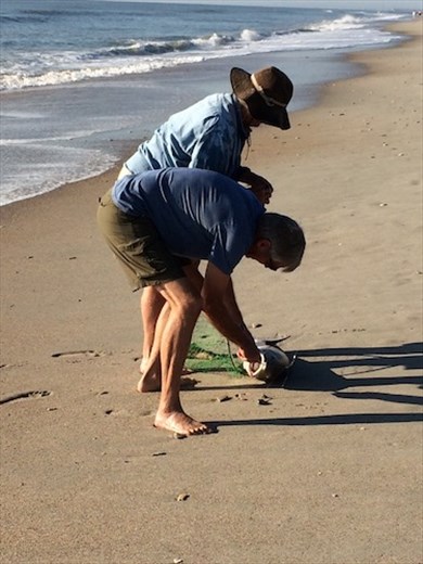 Helping to land a big one, Myrtle Beach
