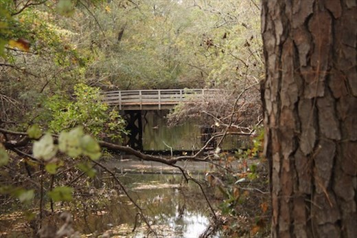 Moore's Creek National Battlefield, South Carolina