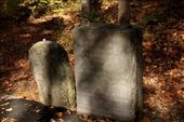 Original monument at King's Mountain National Battlefield, South Carolina: by vagabonds3, Views[408]