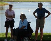 Bett, Lois, Connie and the pelicans: by vagabonds3, Views[462]