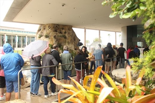 Waiting in the rain, Dali Museum, Tampa