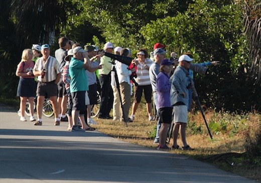 Birders, Ding Darling NWS