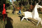 Origami horses, Naples Botanic Garden: by vagabonds3, Views[496]