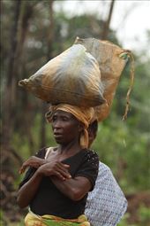 Head-strong woman: by vagabonds3, Views[401]