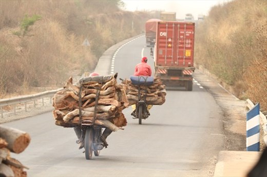 Big load, small bike