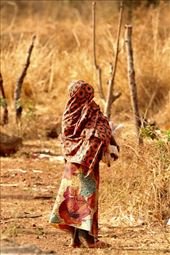 Muslim girl: by vagabonds3, Views[401]