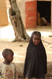 Shy siblings: by vagabonds3, Views[459]