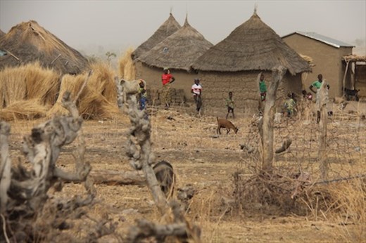 Village in Northern Cameroon