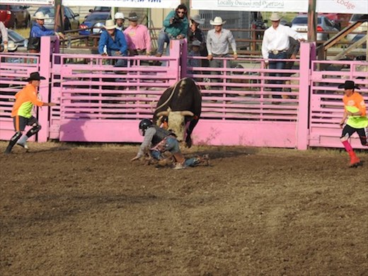 Bucked, BullRama, Deer Lodge MT