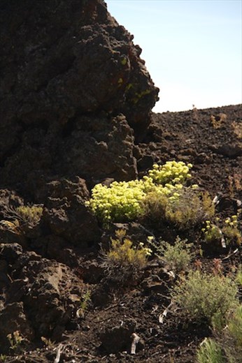 Craters of the Moon National Monument